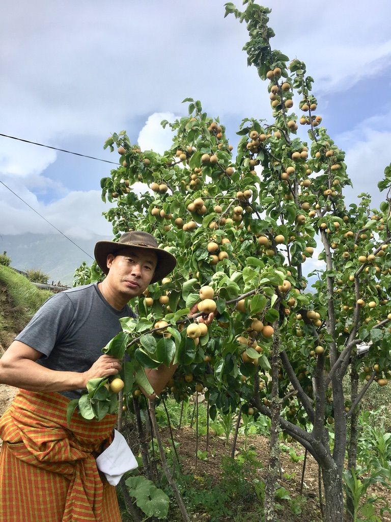 The founder of The Happiness Farm among the pear trees