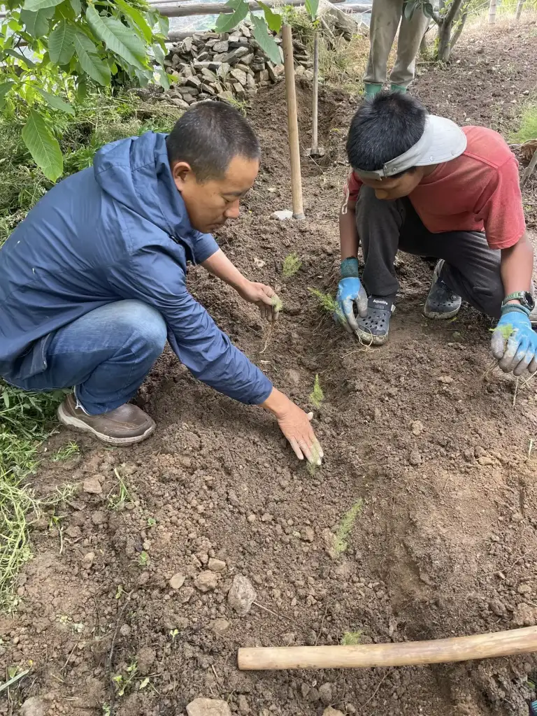 Planting a native tree sapling on The Happiness Farm