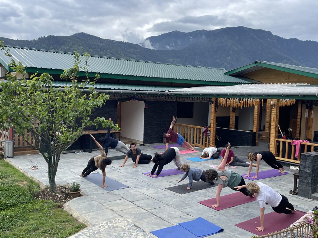 A yoga session in the courtyard of the farm